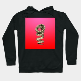 Entangled vintage illustration of a snake Hoodie